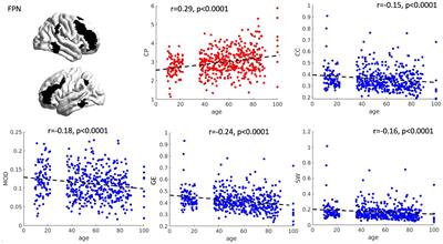 Brain topology underlying executive functions across the lifespan: focus on the default mode network